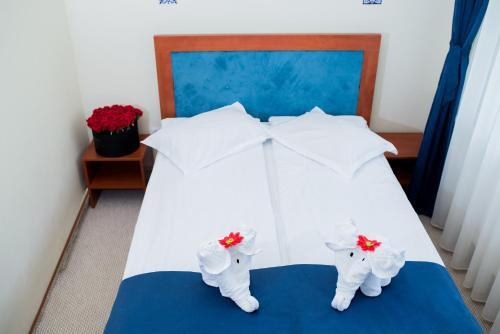 Hotel Pin Azuga - 823