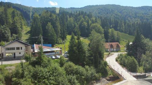 Hotel Pin Azuga - 456