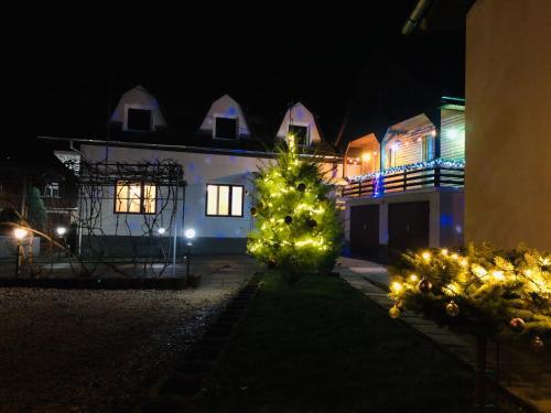 Hotel Poenita - 867
