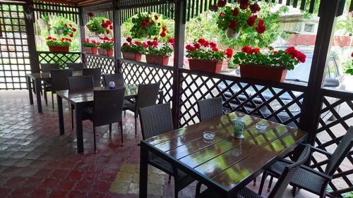 Hotel Pui de Urs - 603