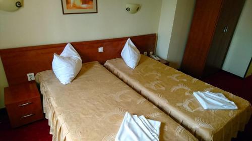 Hotel Pui de Urs - 357