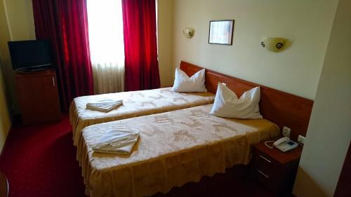Hotel Pui de Urs - 596