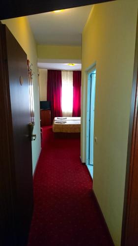 Hotel Pui de Urs - 525