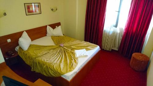 Hotel Pui de Urs - 44