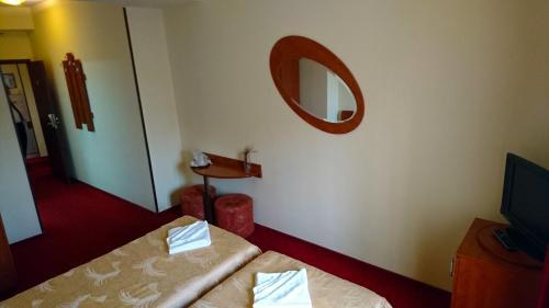 Hotel Pui de Urs - 839