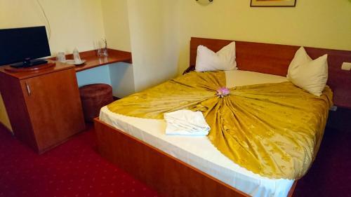 Hotel Pui de Urs - 611
