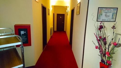 Hotel Pui de Urs - 421