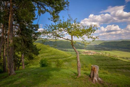 Hotel Relax Sovata - 726