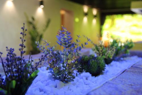 Hotel Relax Sovata - 870