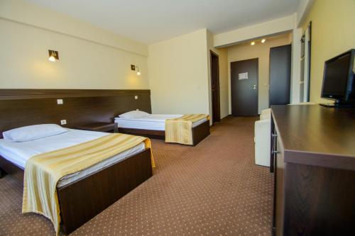 Hotel Restaurant Alesia - 370