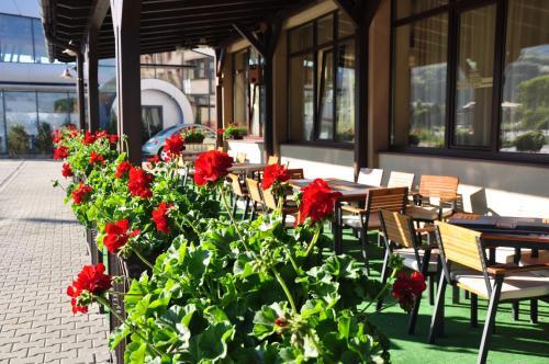 Hotel Restaurant Alesia - 587
