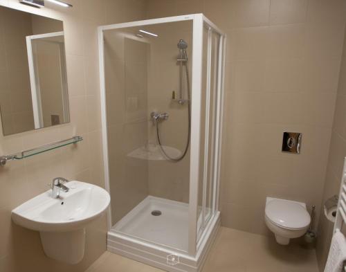 Hotel Central Carei - 730