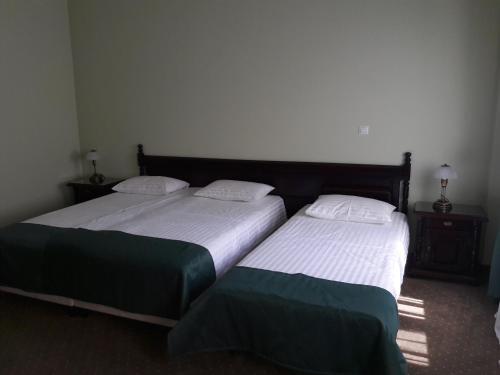 Hotel Central Carei - 441