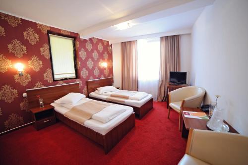 Hotel Roberto Slanic Prahova - 463