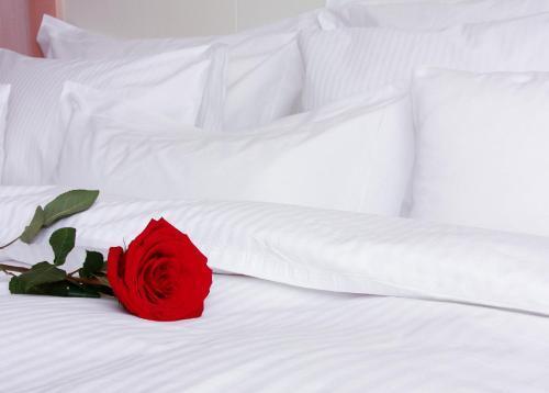 Hotel Rogge - 565