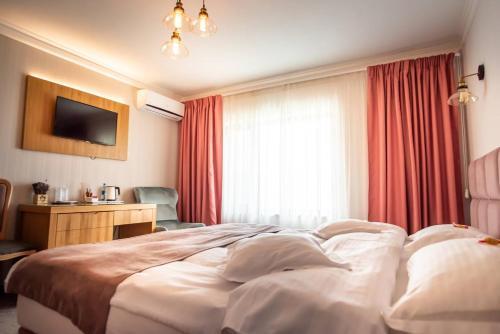 Hotel Roser House Boutique - 528