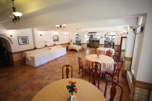 Hotel Ruia - 652