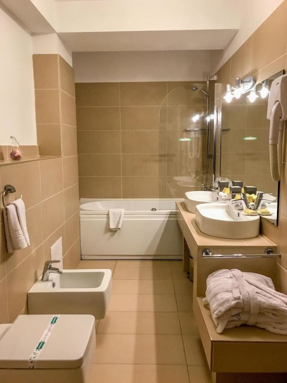 Hotel Satu Mare City - 919