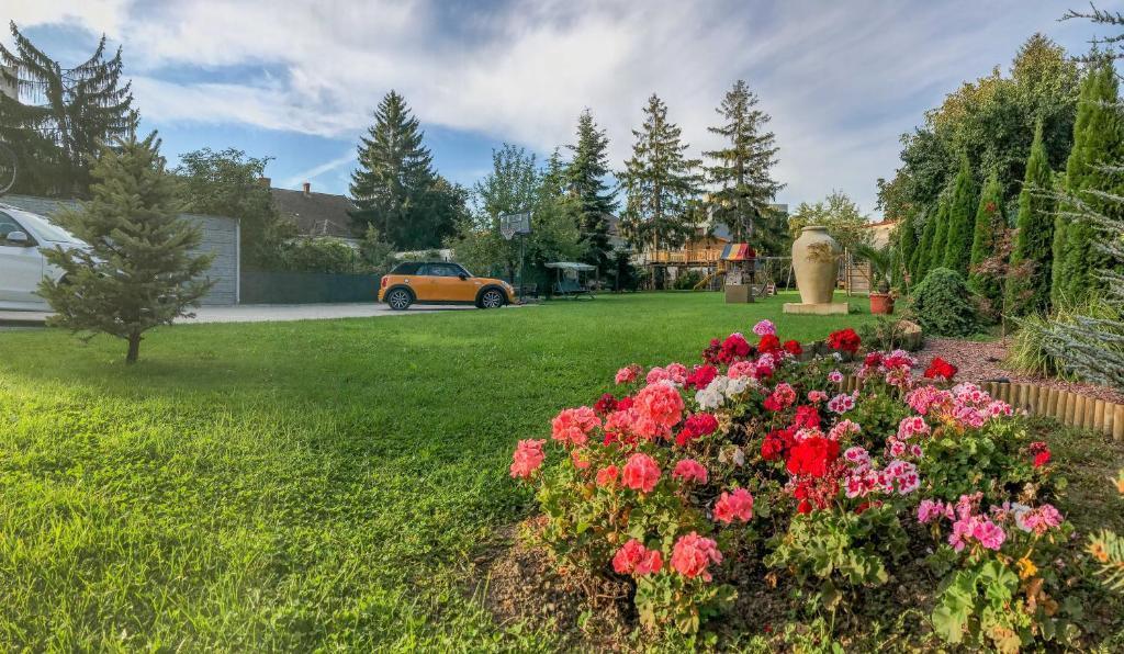 Hotel Satu Mare City - 562