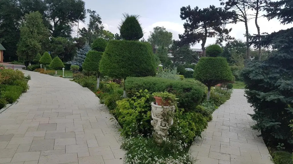 Hotel Scoica - 270
