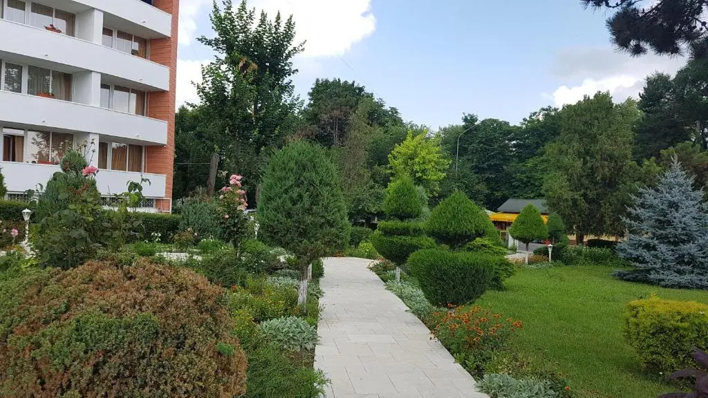 Hotel Scoica - 469