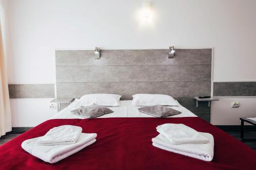 Hotel Simeria - 864