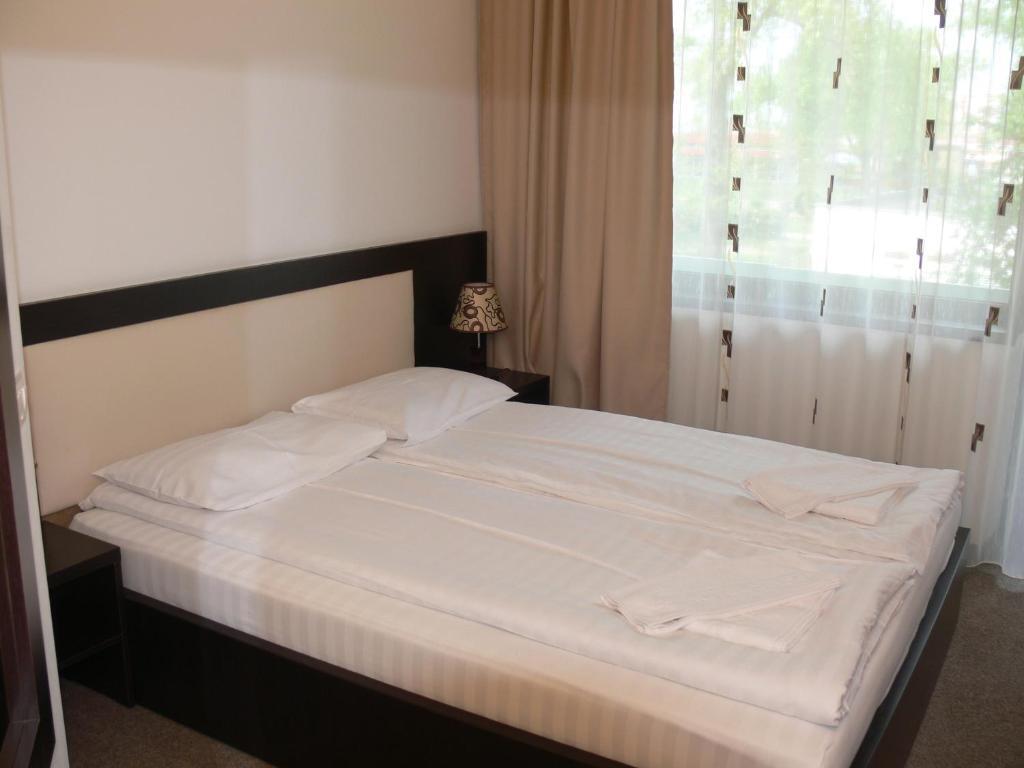 Hotel Siret - 233