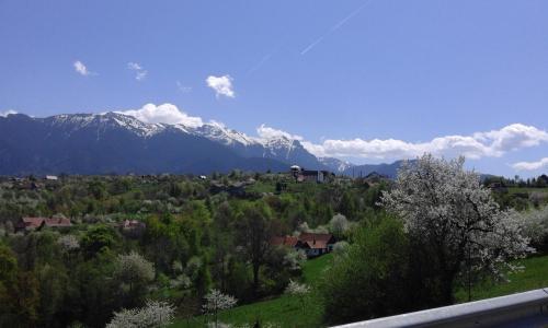 Hotel Sofia - 319