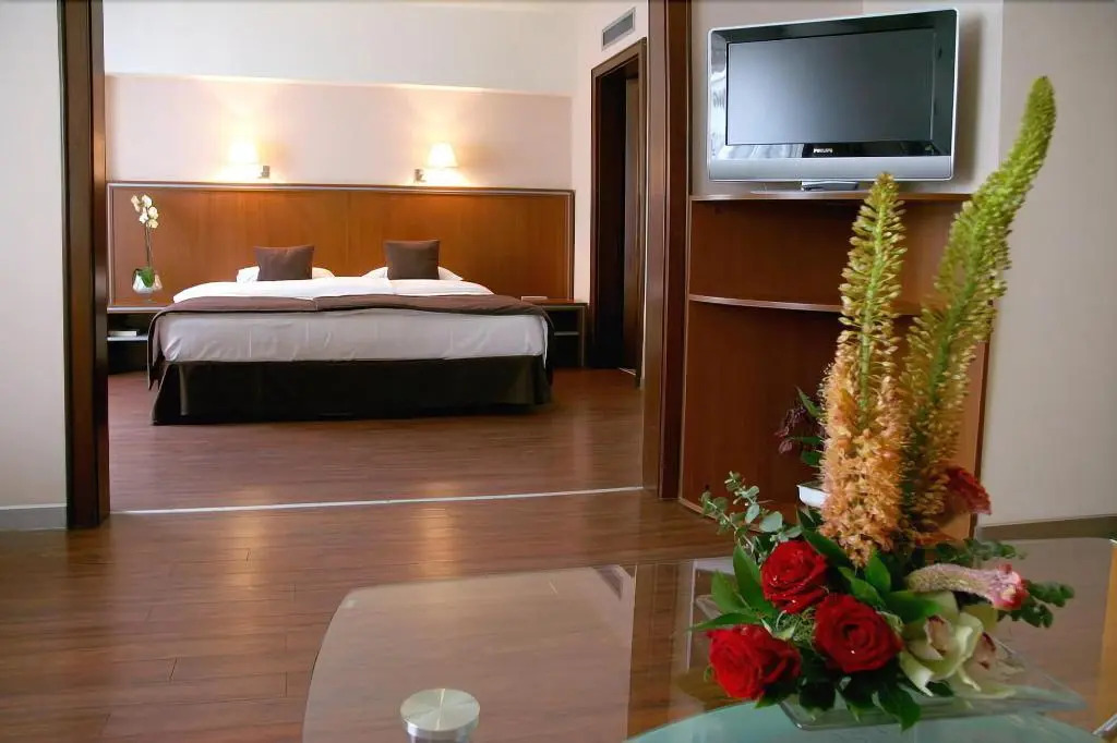 Hotel Timisoara - 904
