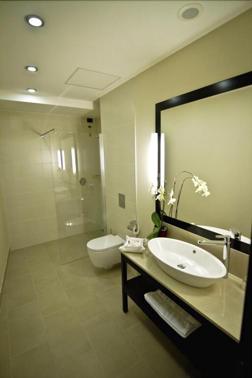 Hotel Timisoara - 346