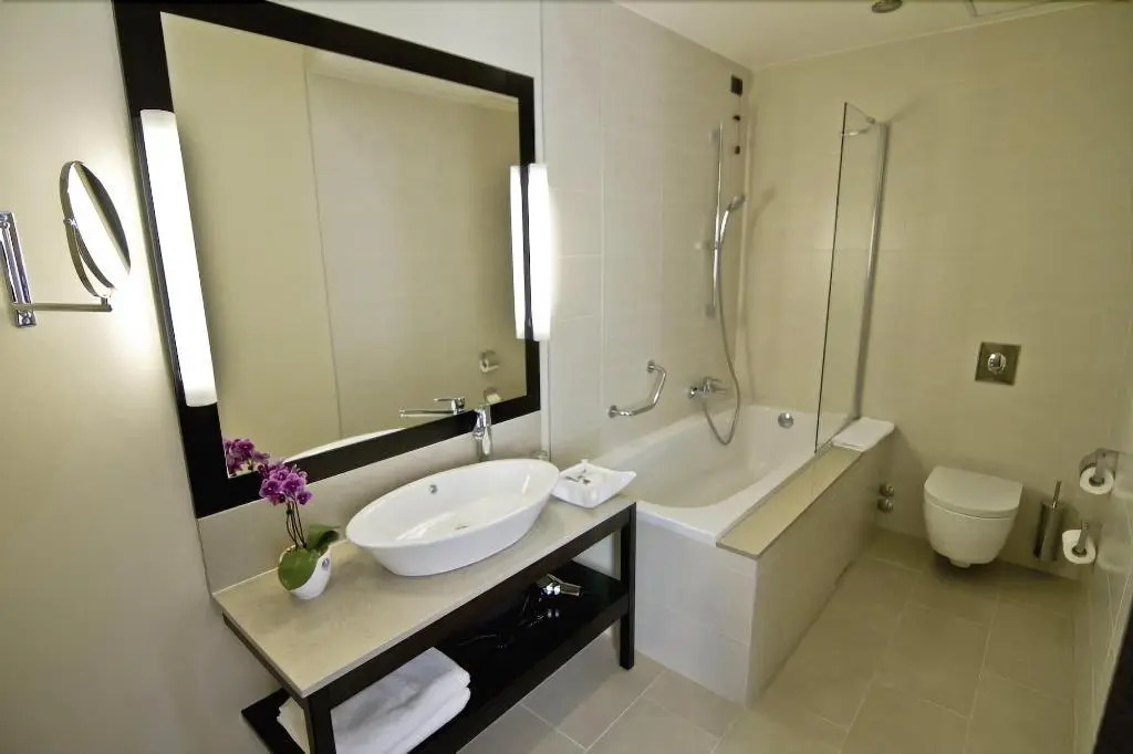 Hotel Timisoara - 870