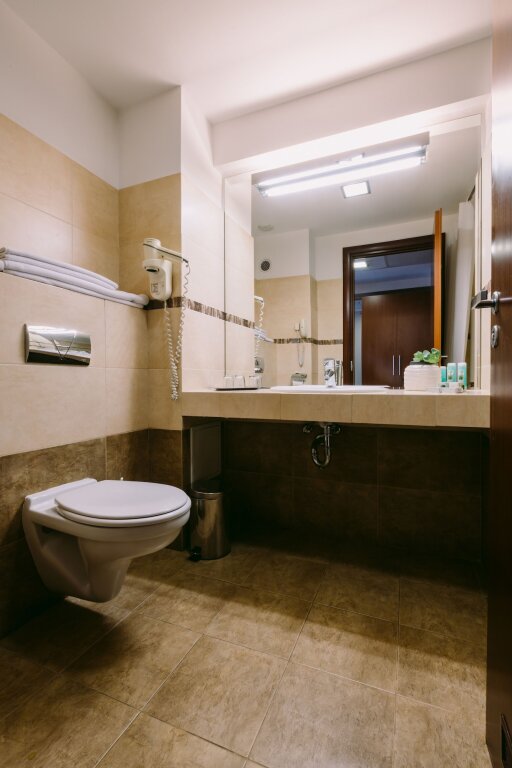 Hotel Timisoara - 92