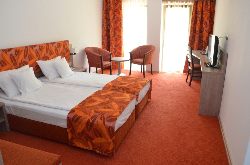Hotel Tisa - 4
