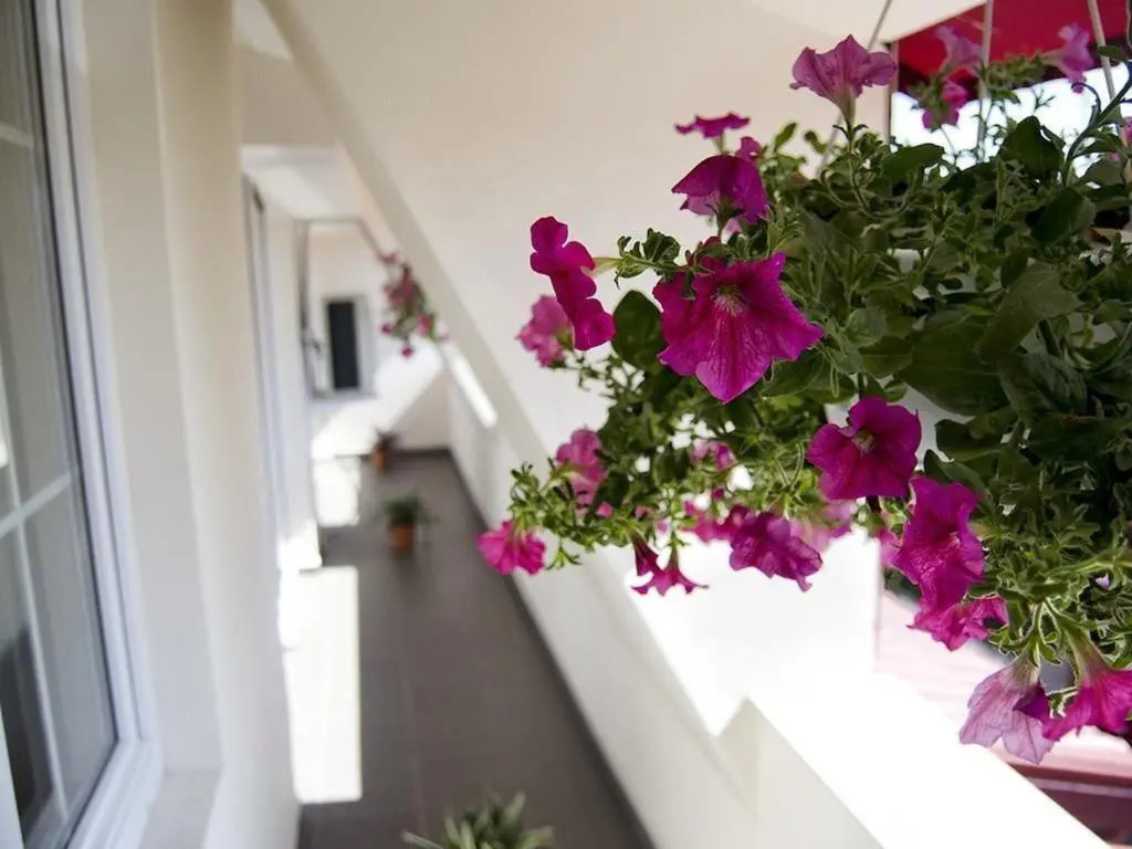 Tranzzit Hotel - 109