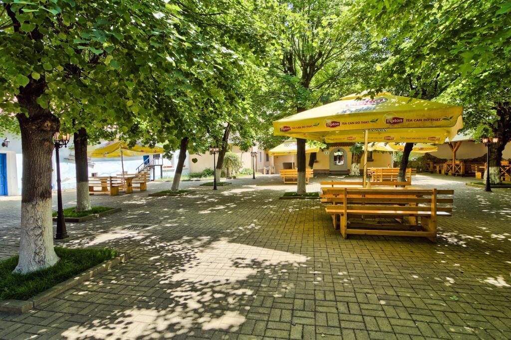 Traube Medias - 572