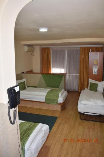 Zimbru - 209