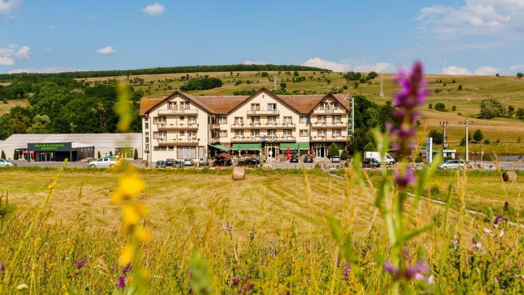 Hotel-Restaurant Dumbrava Rupea - 823