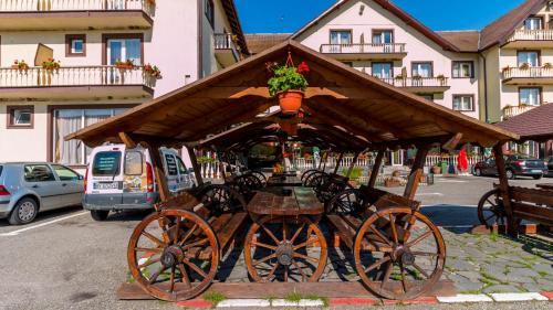 Hotel-Restaurant Dumbrava Rupea - 719