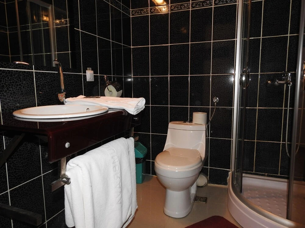 Hotel-Restaurant Dumbrava Rupea - 496