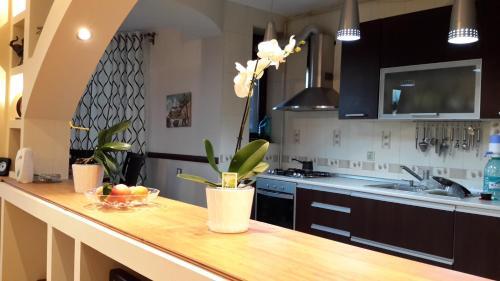 Johanna House - 705