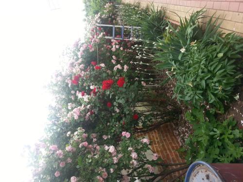 Johanna House - 936