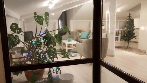 Johanna House - 720