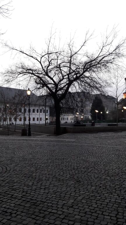 Km 0 Unirii Old Town - 898