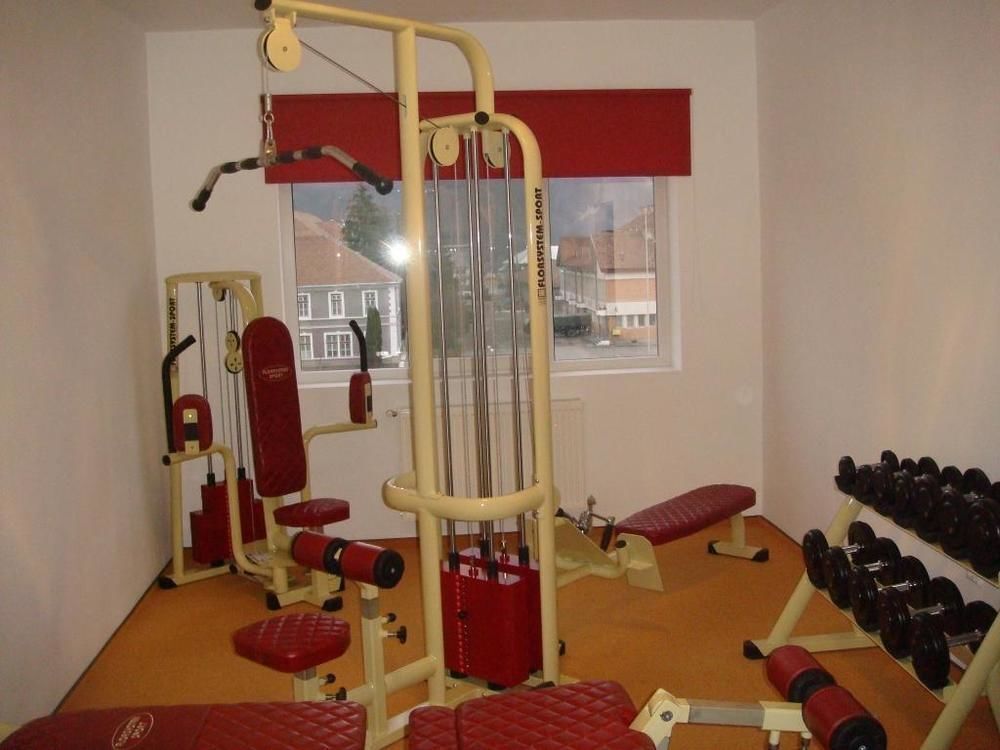 Krone Hotel Bistrita - 449