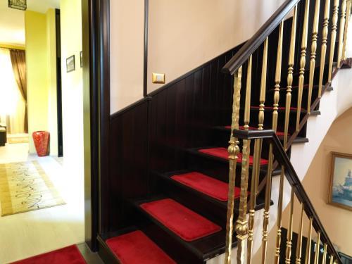Guesthouse Boutique La Favorita - 552
