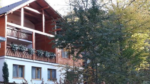 Pensiune păstrăvărie La pintea haiducu - 651