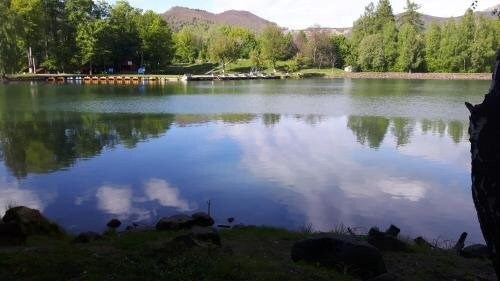 Pensiune păstrăvărie La pintea haiducu - 790
