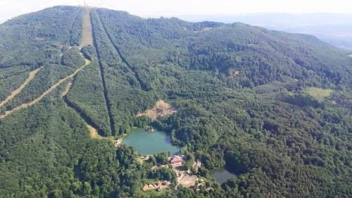 Pensiune păstrăvărie La pintea haiducu - 778