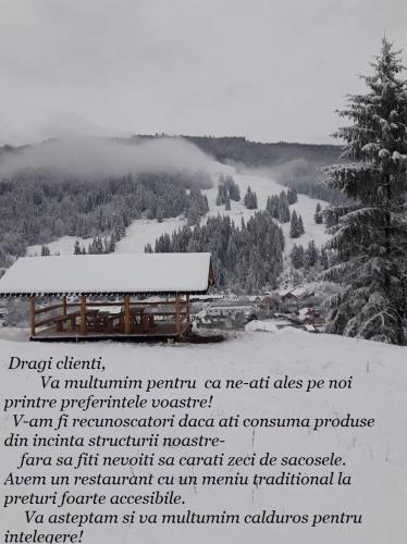 Pensiune La Roca - 966
