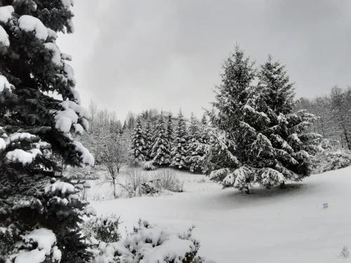 Lac de Verde - Golf&Leisure Resort - 439